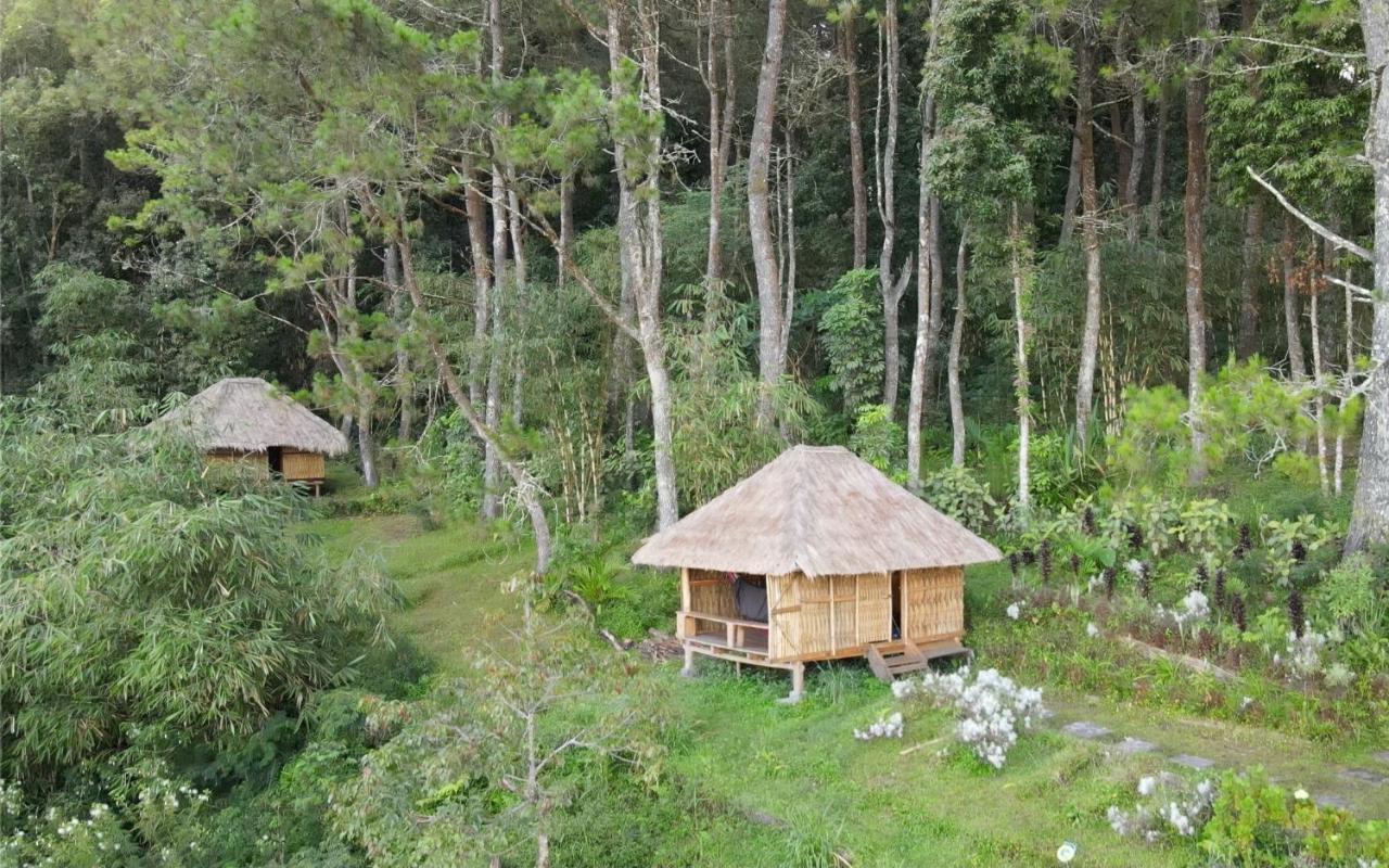 Villa Ticket To The Moon Hammock Camp Selat Exterior foto